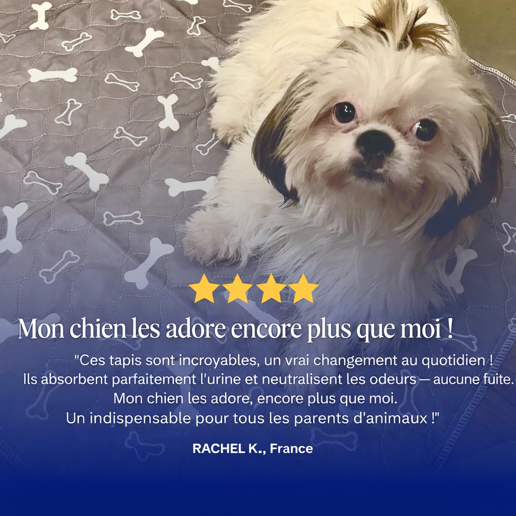 TapisPuppy™ – Le tapis pipi réutilisable pour chiens et chiots